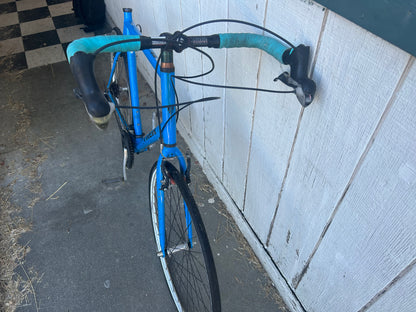 Large Trek FX Series Blue Road Bike