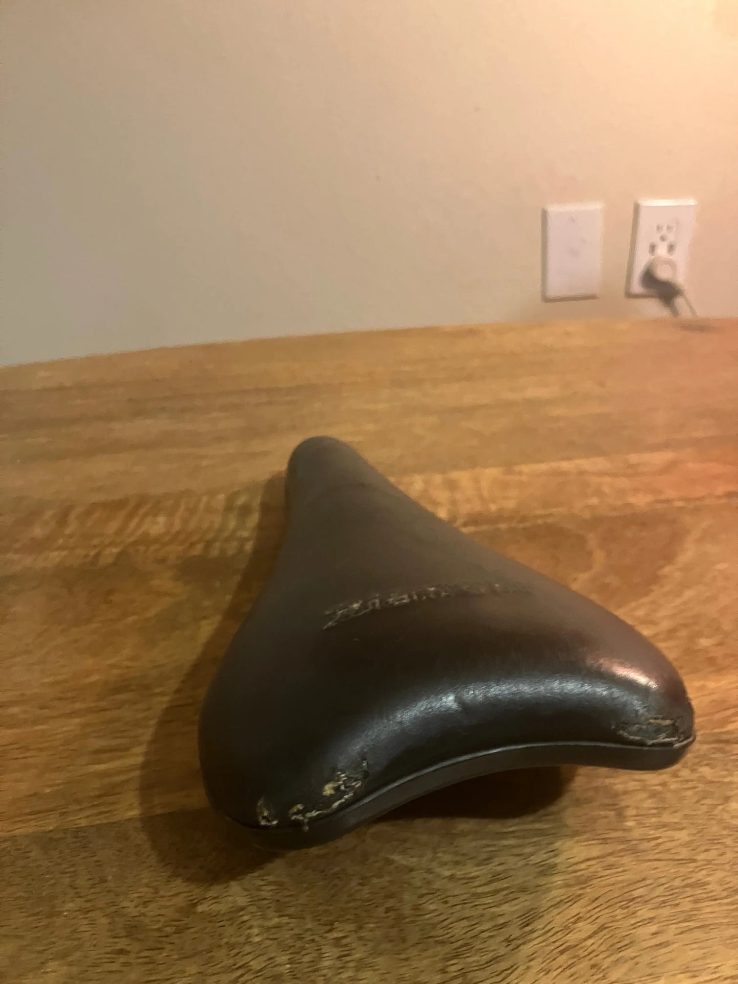 Bianchi Saddle DannyStarkRidesFixed.Shop