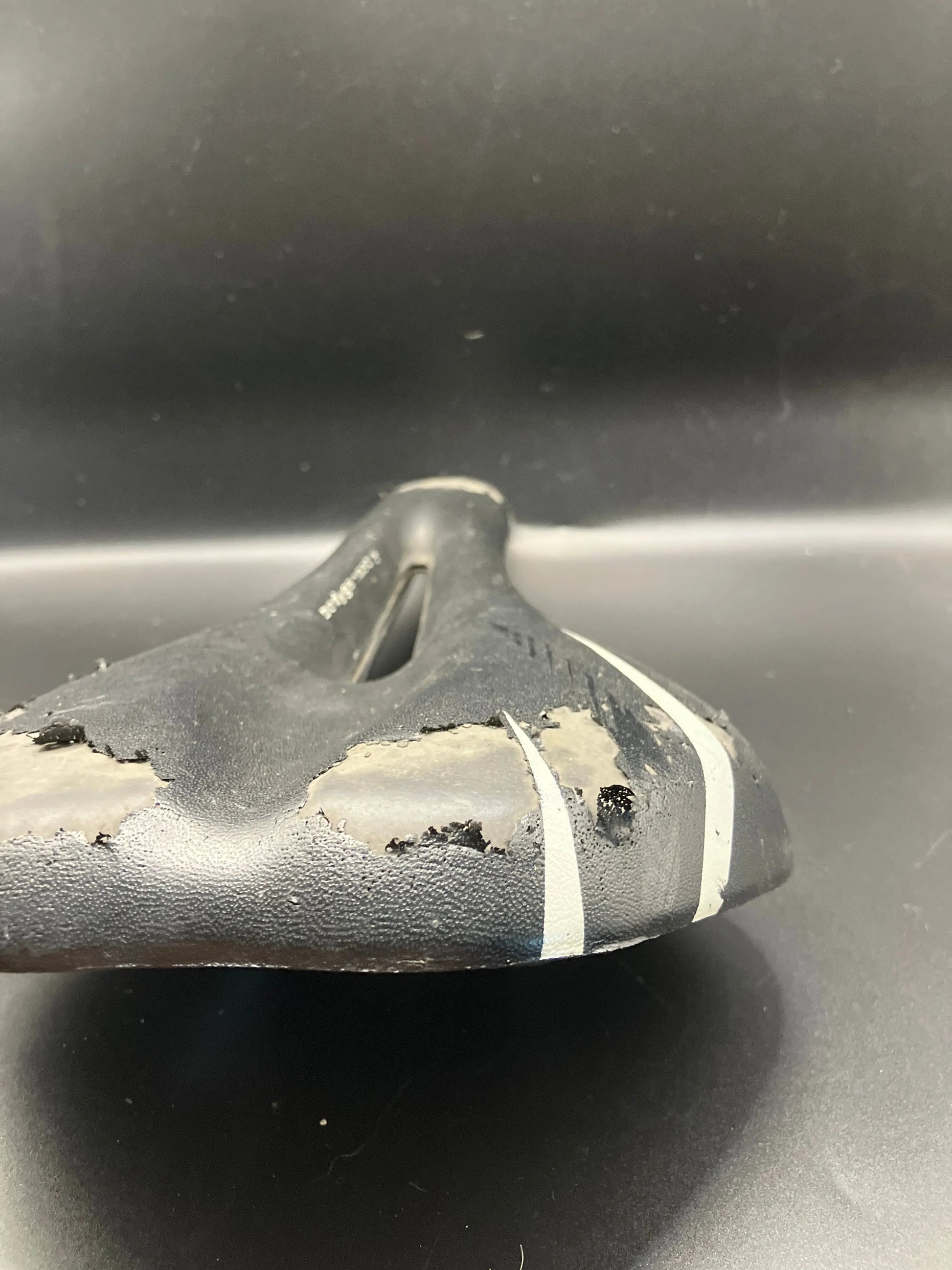 Specialized Riva Saddle DannyStarkRidesFixedShop