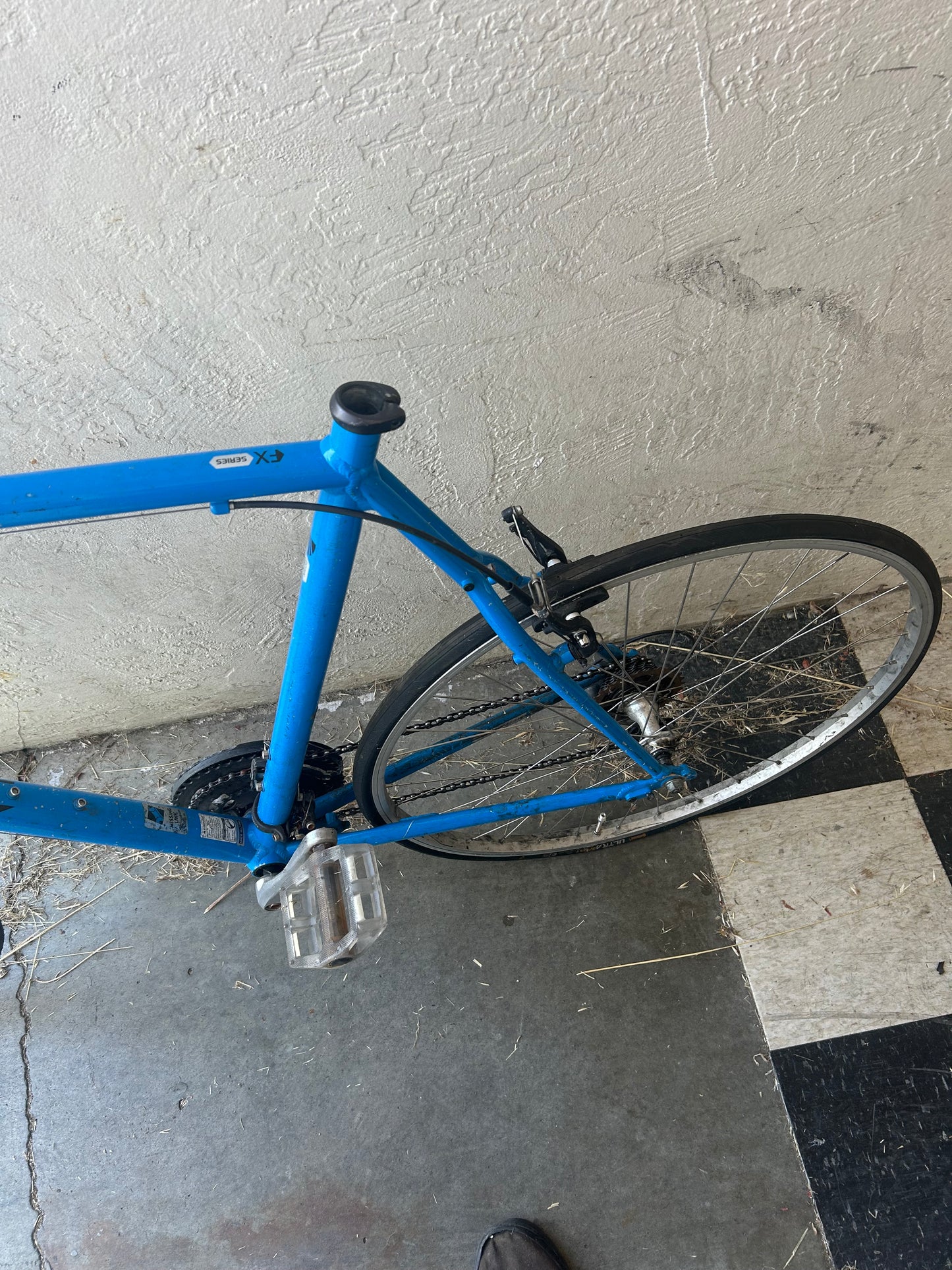Large Trek FX Series Blue Road Bike