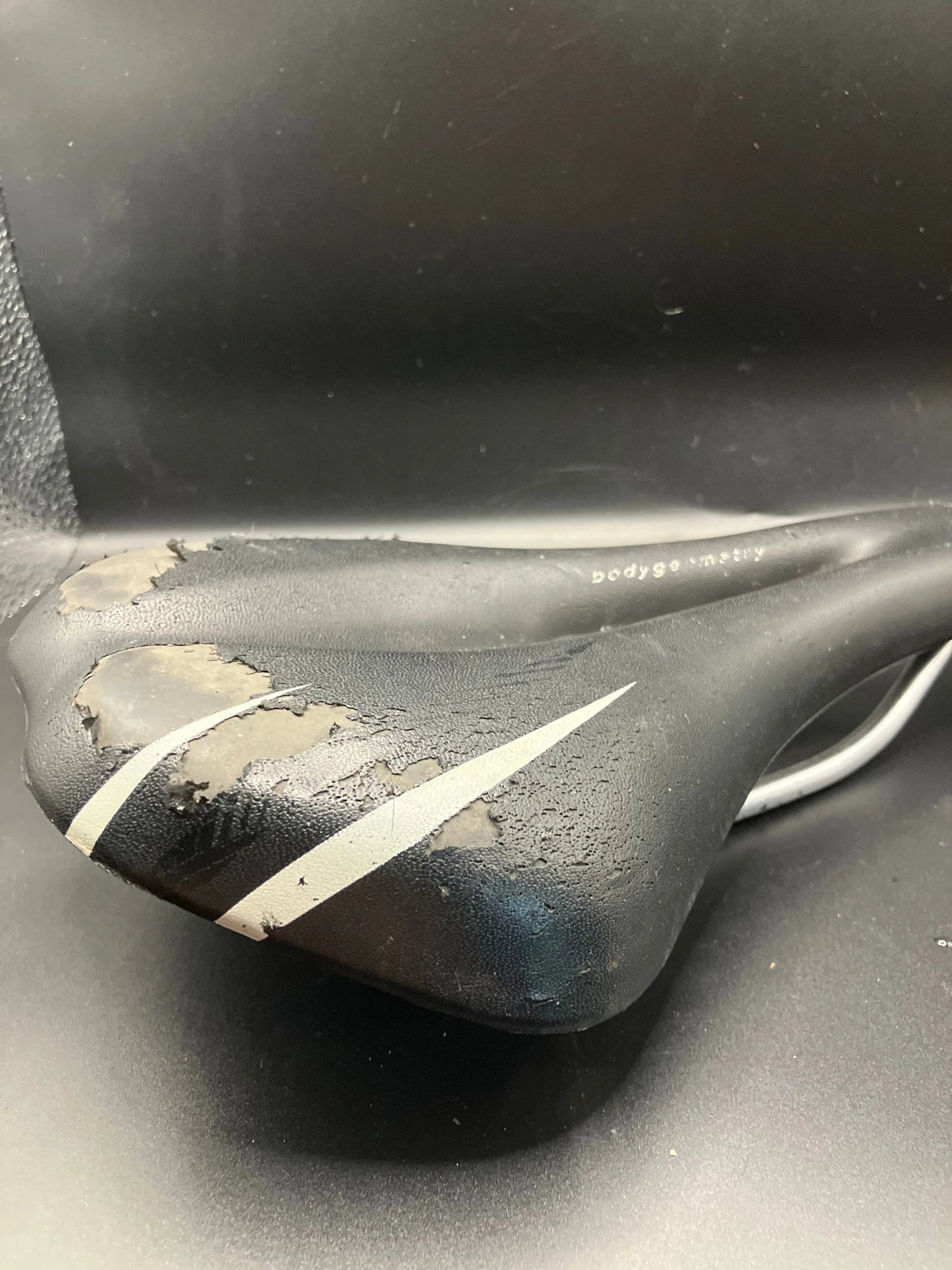 Specialized Riva Saddle DannyStarkRidesFixedShop