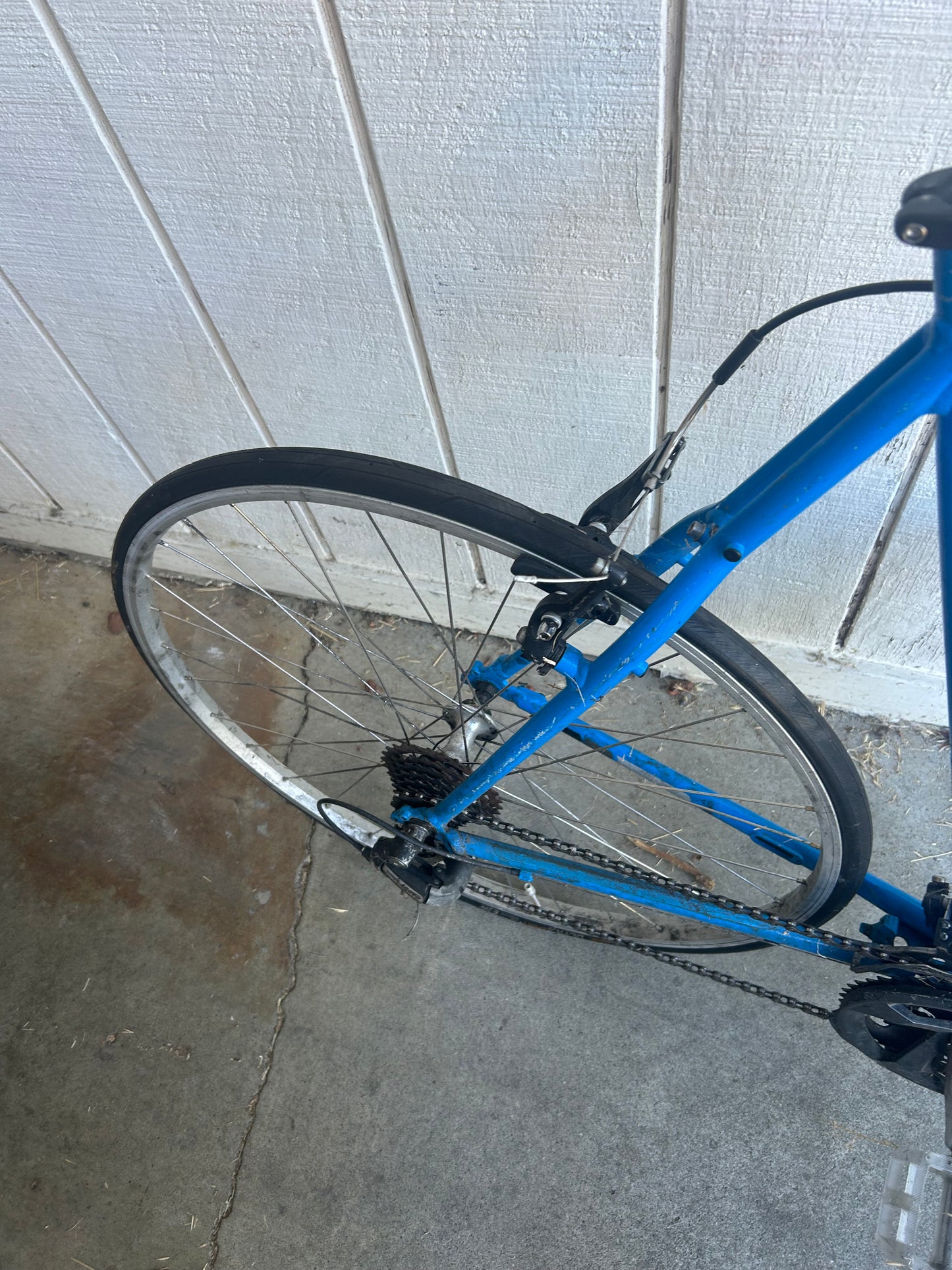 Large Trek FX Series Blue Road Bike
