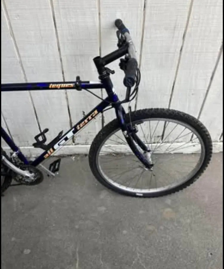 Vintage 90’s GT Tequesta 53cm(?) Restomod Project - price is negotiable. DannyStarkRidesFixed.Shop