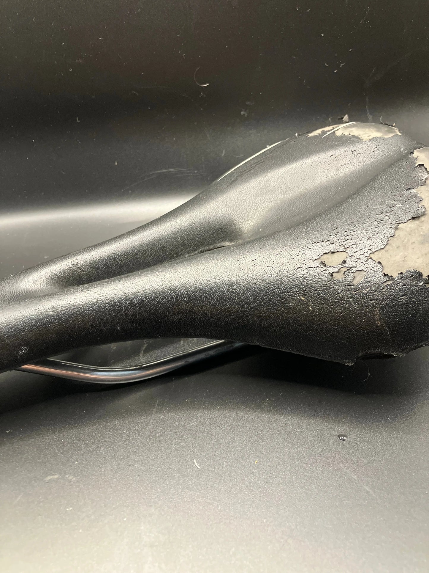 Specialized Riva Saddle DannyStarkRidesFixedShop