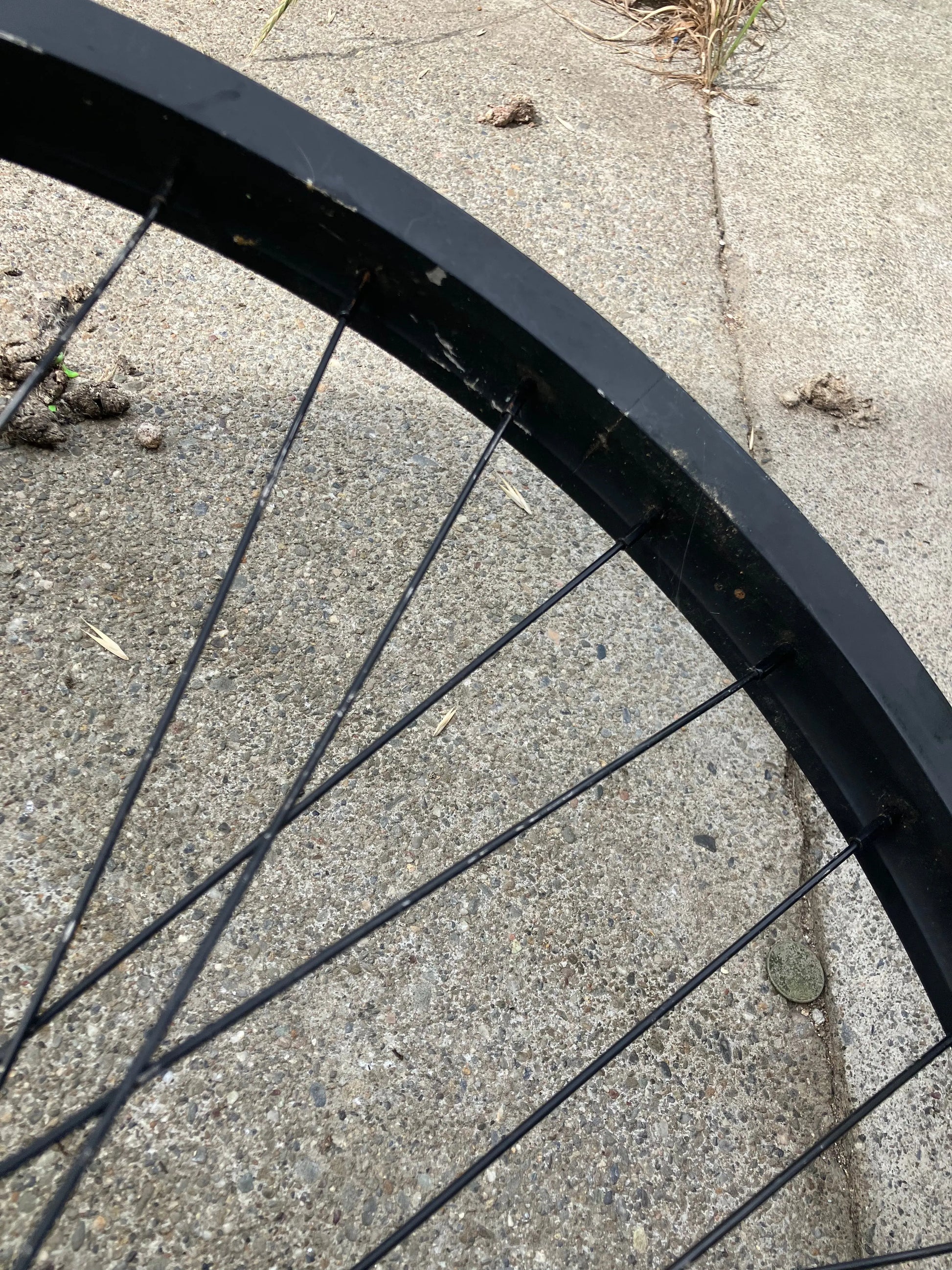 Pure Fixed Cycles - 26” FGFS fixed Gear Freestyle Wheel Flipflop Hub 16T Cog/Freewheel DannyStarkRidesFixedShop