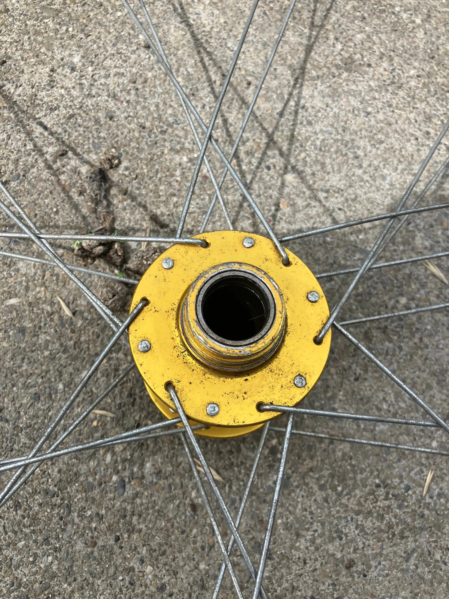 700c wheel DannyStarkRidesFixedShop