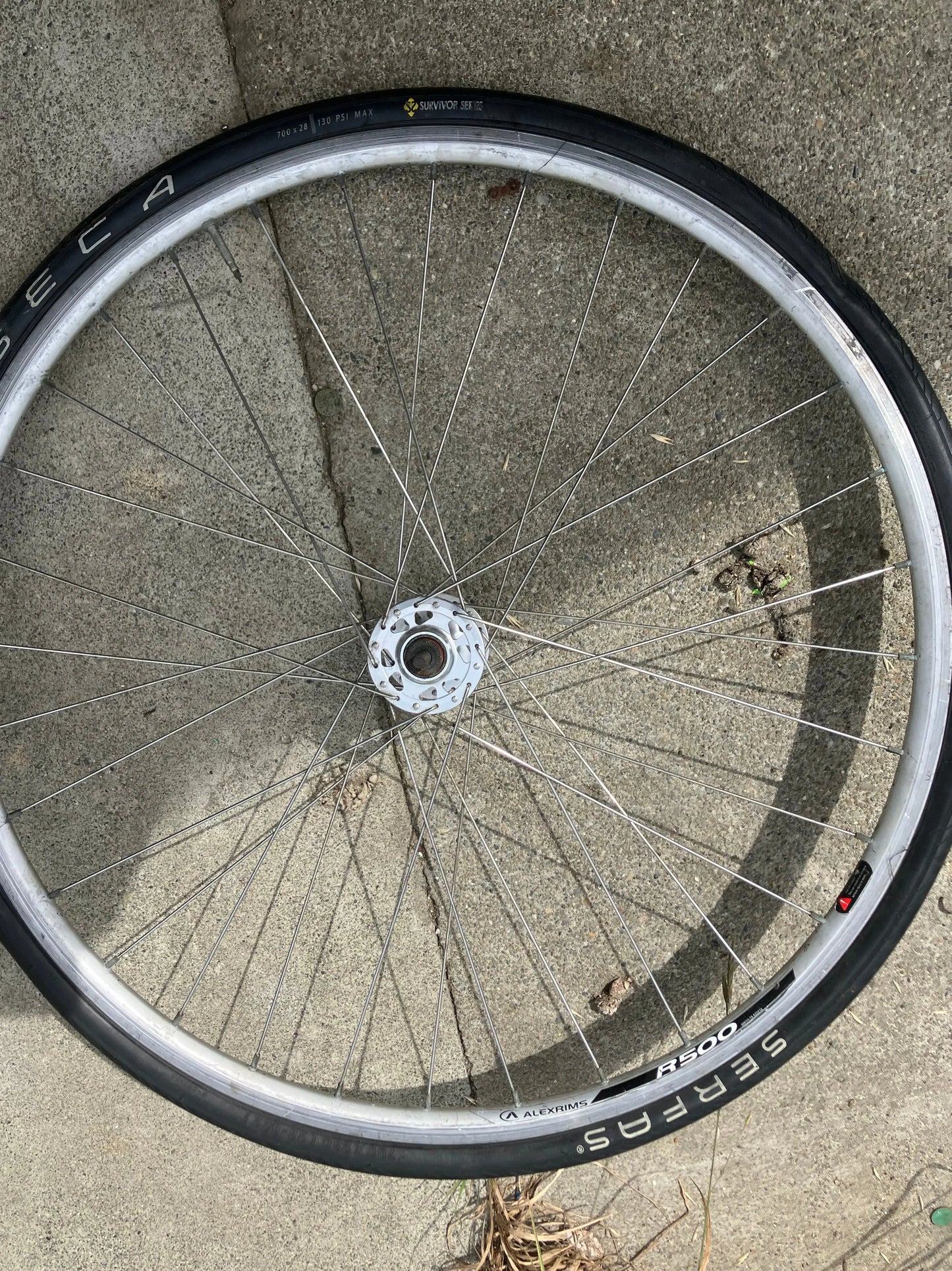Alex Rims - R500 700c Front Wheel DannyStarkRidesFixedShop