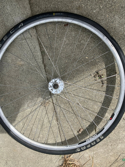 Alex Rims - R500 700c Front Wheel DannyStarkRidesFixedShop