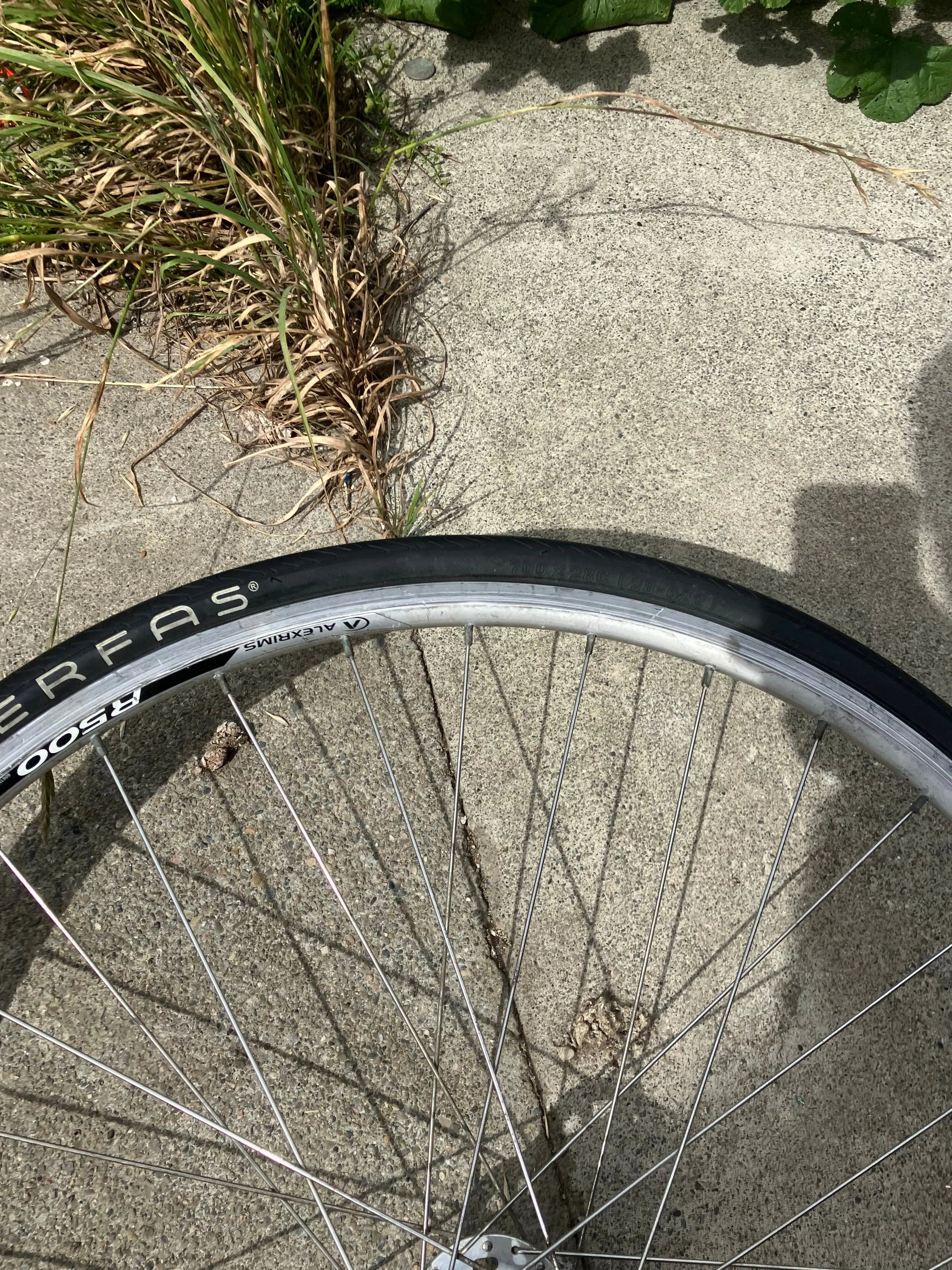 Alex Rims - R500 700c Front Wheel DannyStarkRidesFixedShop