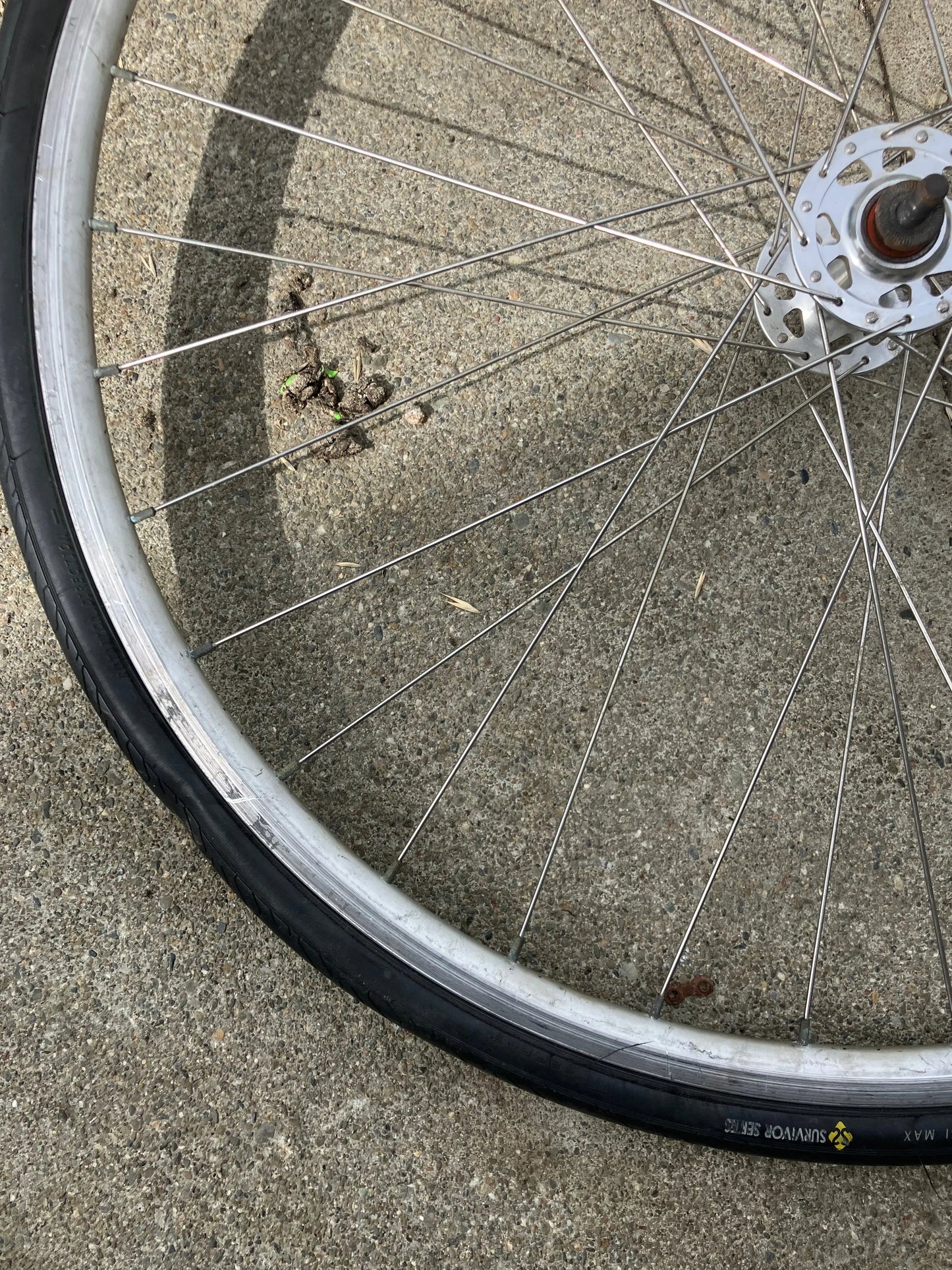 Alex Rims - R500 700c Front Wheel DannyStarkRidesFixedShop