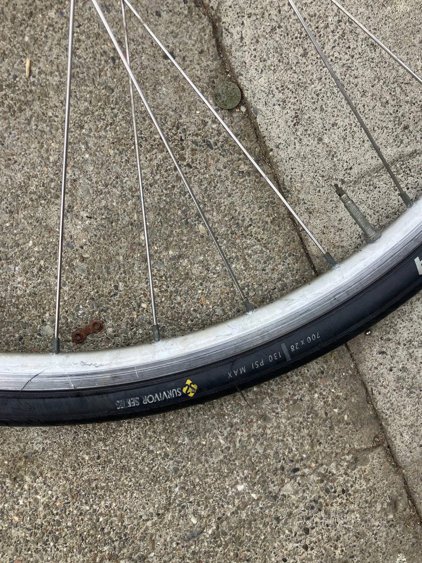 Alex Rims - R500 700c Front Wheel DannyStarkRidesFixedShop
