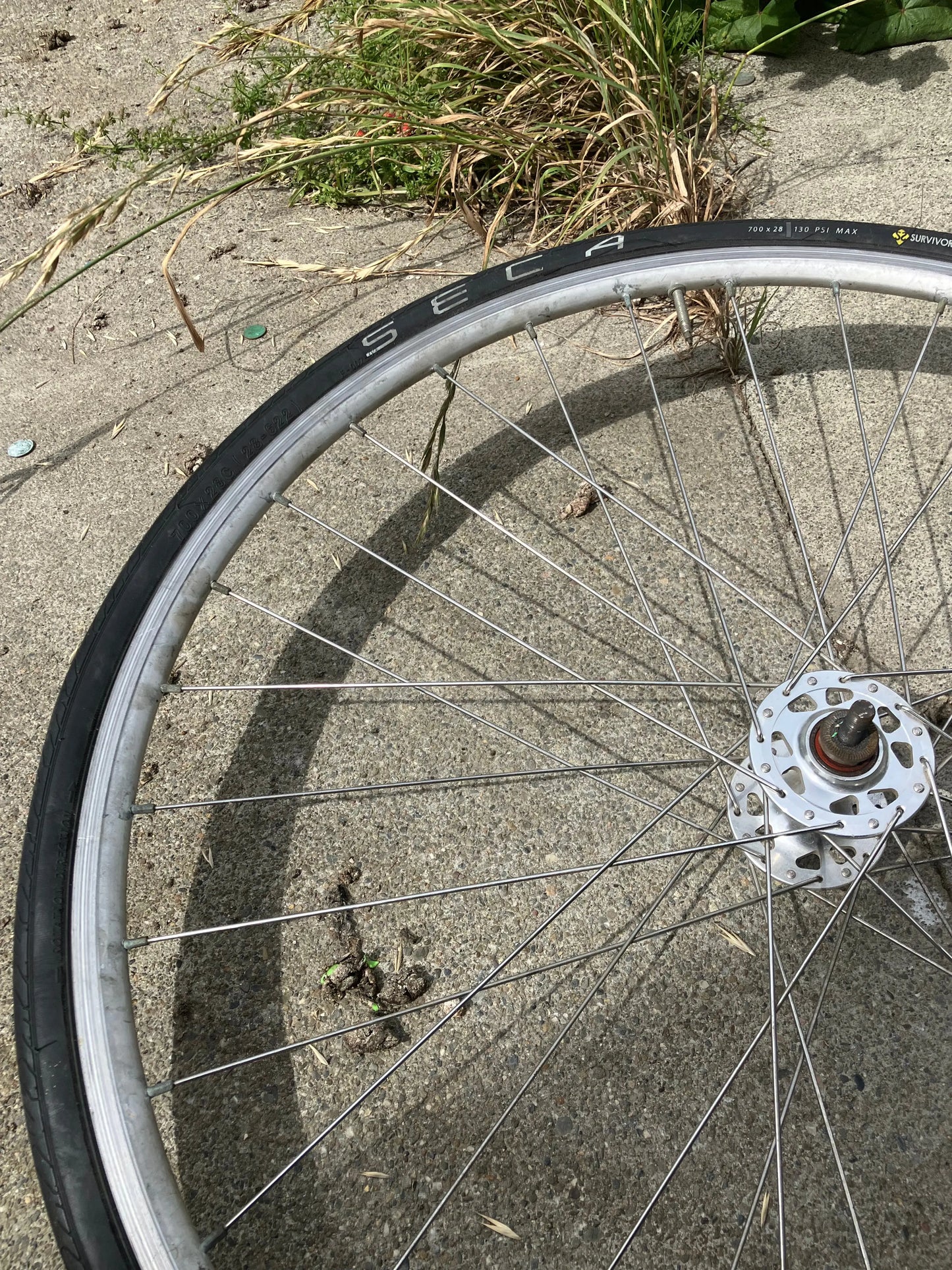 Alex Rims - R500 700c Front Wheel DannyStarkRidesFixedShop