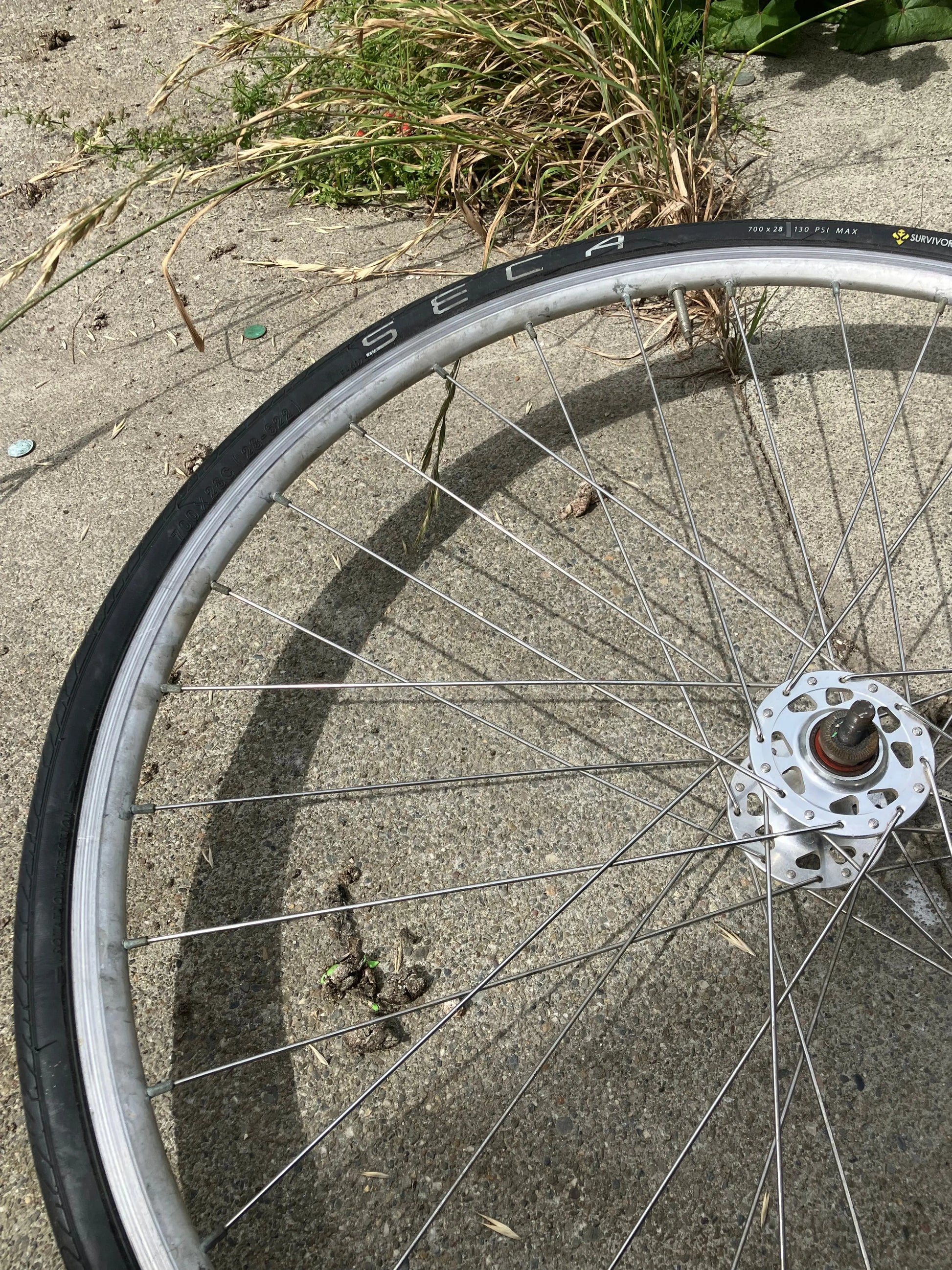 Alex Rims - R500 700c Front Wheel DannyStarkRidesFixedShop